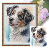 Australian Shepherd Dog-11CT Stamped Cross Stitch 40*50cm/15.75*19.69in