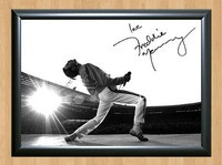 Freddie Mercury Queen Signed Autographed Photo Poster painting Poster Print Memorabilia A2 Size 16.5x23.4