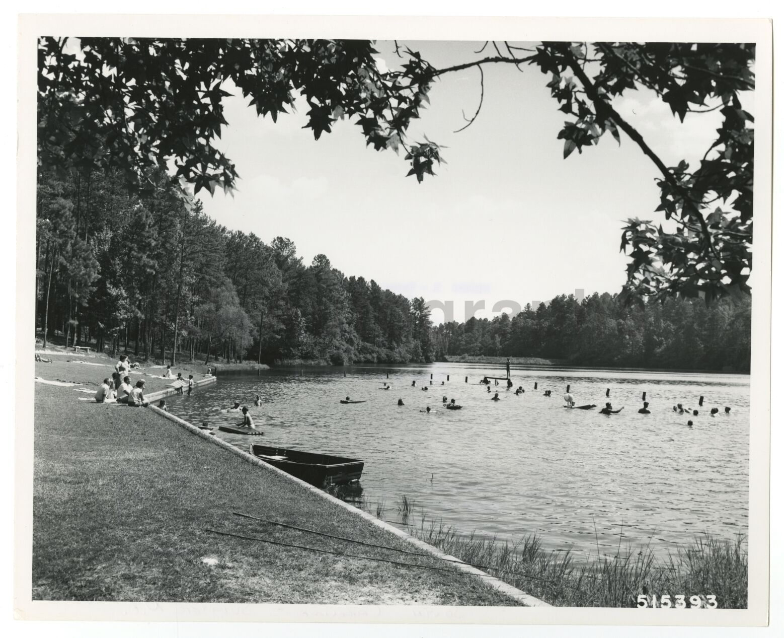 South Carolina History - Lick Fork Lake - Vintage 8x10 Photo Poster paintinggraph by DD Devet