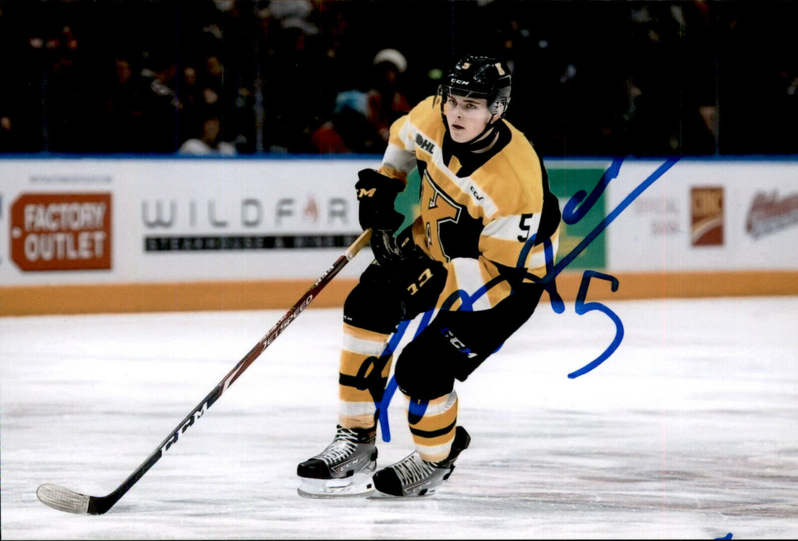 Braden Hache SIGNED autograph 4x6 Photo Poster painting KINGSTON FRONTENACS / FLORIDA PANTHERS 2