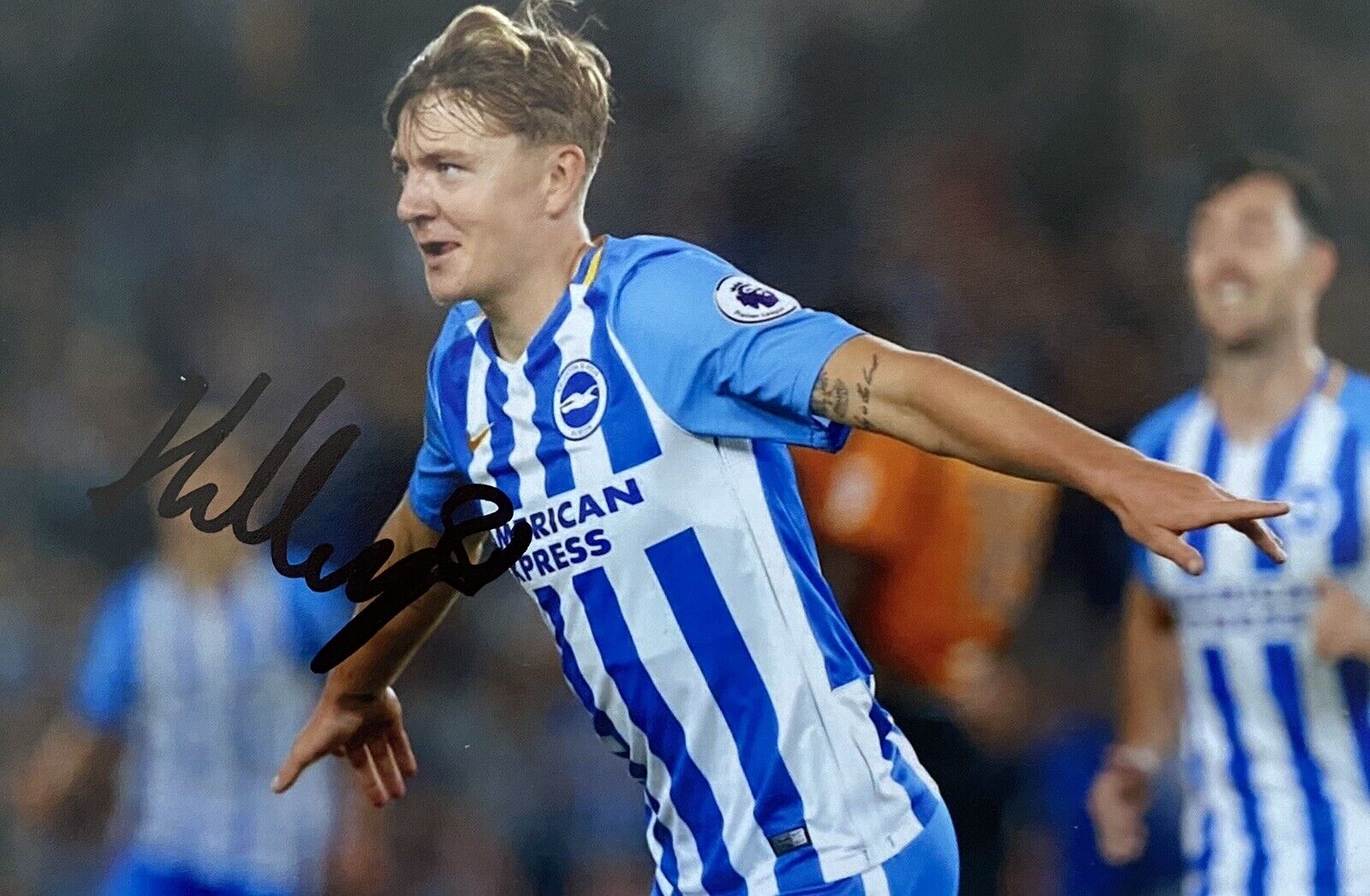 James Tilley Genuine Hand Signed Brighton & Hove Albion 6X4 Photo Poster painting