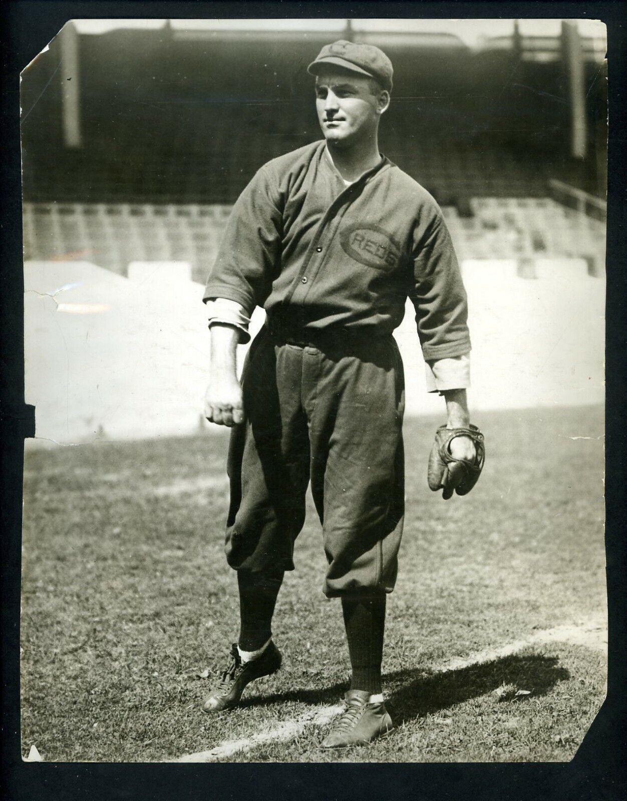 Jimmy Sheckard 1913 Charles Conlon Type 1 Press Photo Poster painting Cincinnati Reds