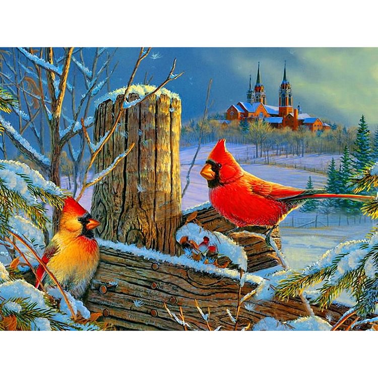 Bird   Diamond Painting 40*30CM