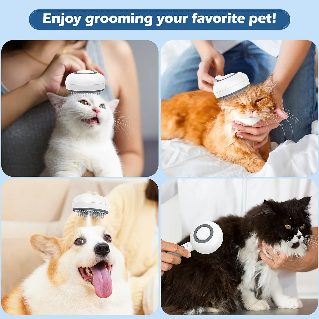 BEBANG Cat Steam Brush 3 in 1, One-Click Hair Removal Brush with Steam for Cats and Dogs