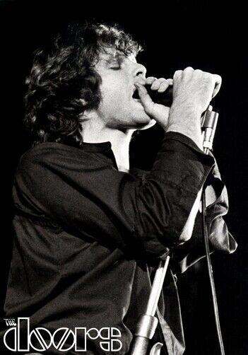 THE DOORS POSTER - JIM MORRISON - Photo Poster painting QUALITY INSERT -  POST!