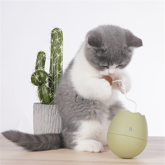 Eggshell Funny Interactive Cat Toy 1