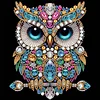 Eule 5d DIY Sonderform Teilbohrer Dimond Gemälde Wanddekoration 30x30cm