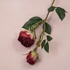 Autumn Vibe 2 Heads Burn Edge Stem Rose Artificial Flower