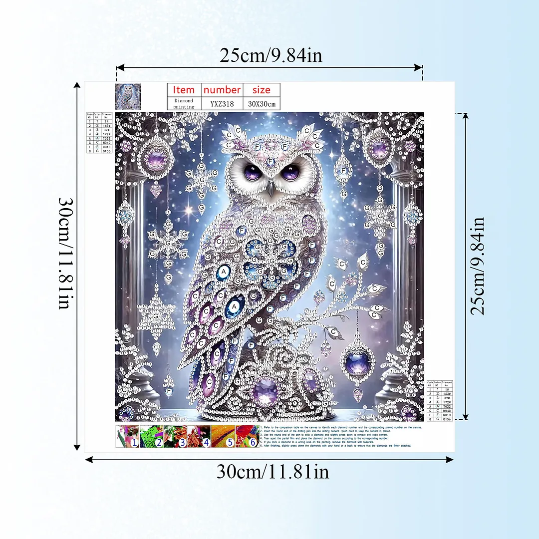 Diamond Painting - Partial Special Shaped Drill - Crystal Snow Owl(Canvas|30x30cm)