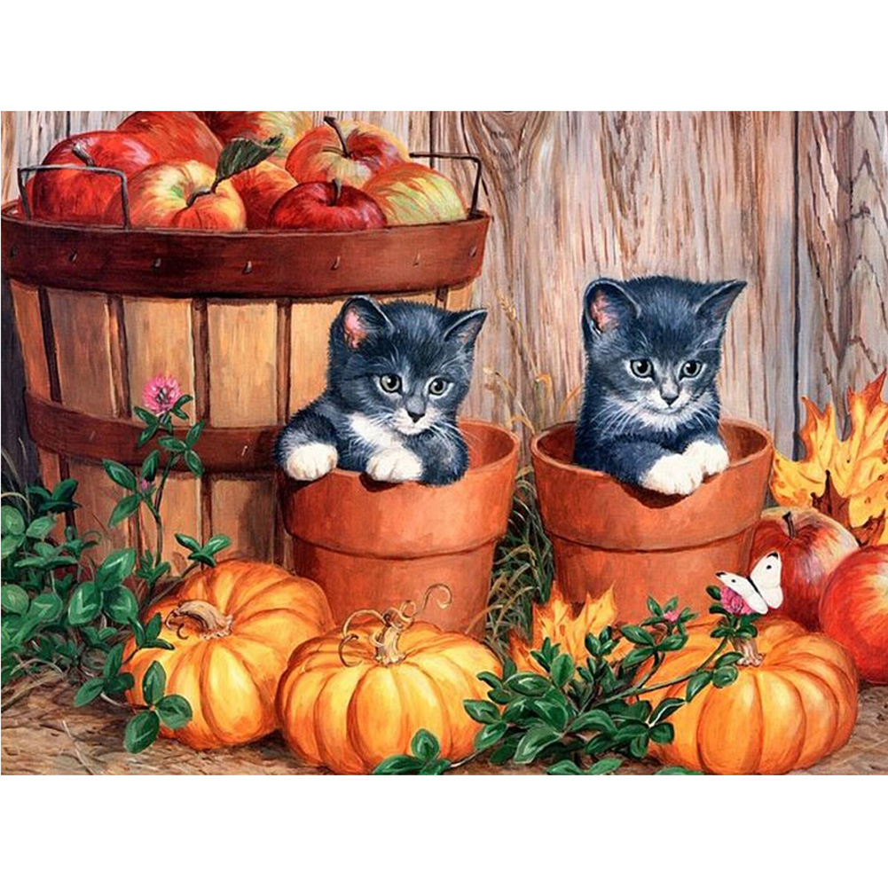 

Cats and Pumpkin - Round Drill Diamond Painting - 40*30CM, Round diamond 30*40cm, 501 Original