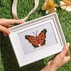 12pcs Butterfly 5D DIY Square Drill Diamond Painting Kits for Adults Beginners Home Decor Diamonds Paintings Gem Art 5.91x7.09in