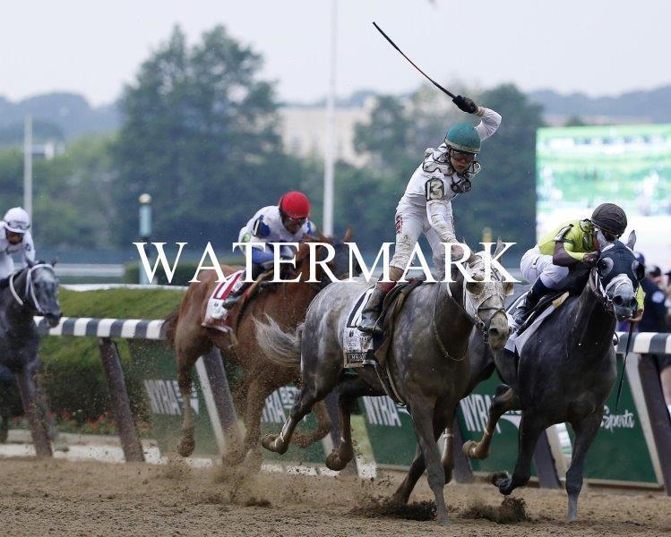 CREATOR 2016 Bemont Winner Horse Racing 8 x 10 Photo Poster painting Poster