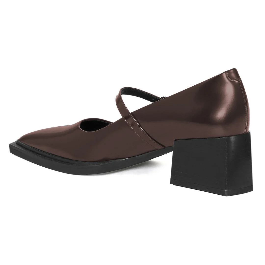 YDN Brown Pointed Toe Buckle Strap Chunky Heel Mary Jane Pumps