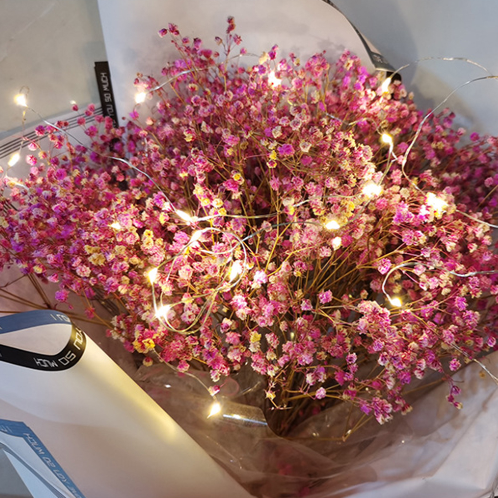 

LED String Lights Colorful Copper Wire Battery Fairy Lamps Festival Decor, 2m 20led, 501 Original