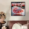 Dancing on ice girl - peinture au diamant de forme sp&eacute;ciale - 30*30cm