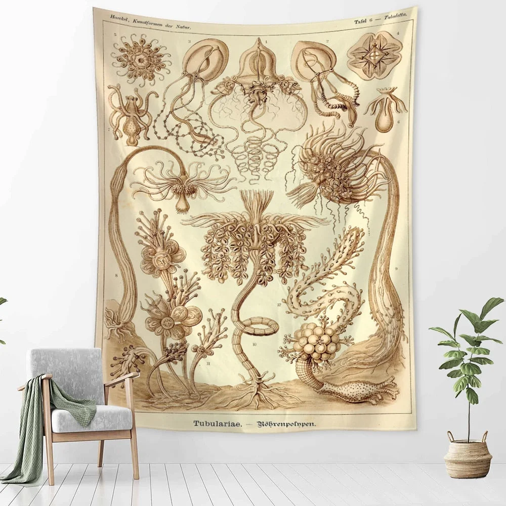 Starfish Conch Tarot Tapestry Wall Hanging Psychedelic Witchcraft Abstract Illustration Room Bedroom Home Decor