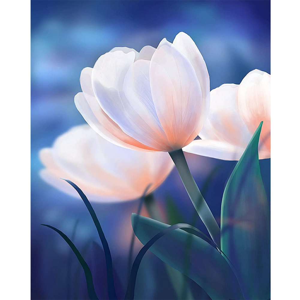 

30*40CM - Round Drill Diamond Painting - White Tulip, 501 Original