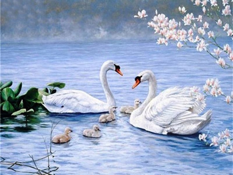 Diamond Painting - Full Round/Square Drill - Swan(30*40 - 50*60cm)