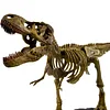 Tyrannosaurus Rex Skeleton Model Kit - 1:15 Scale T-Rex Dino Skeleton - Build & Learn STEM Toy for Kids Ages 6+