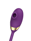 Sucking Vibrator Thrusting Dildo Plug
