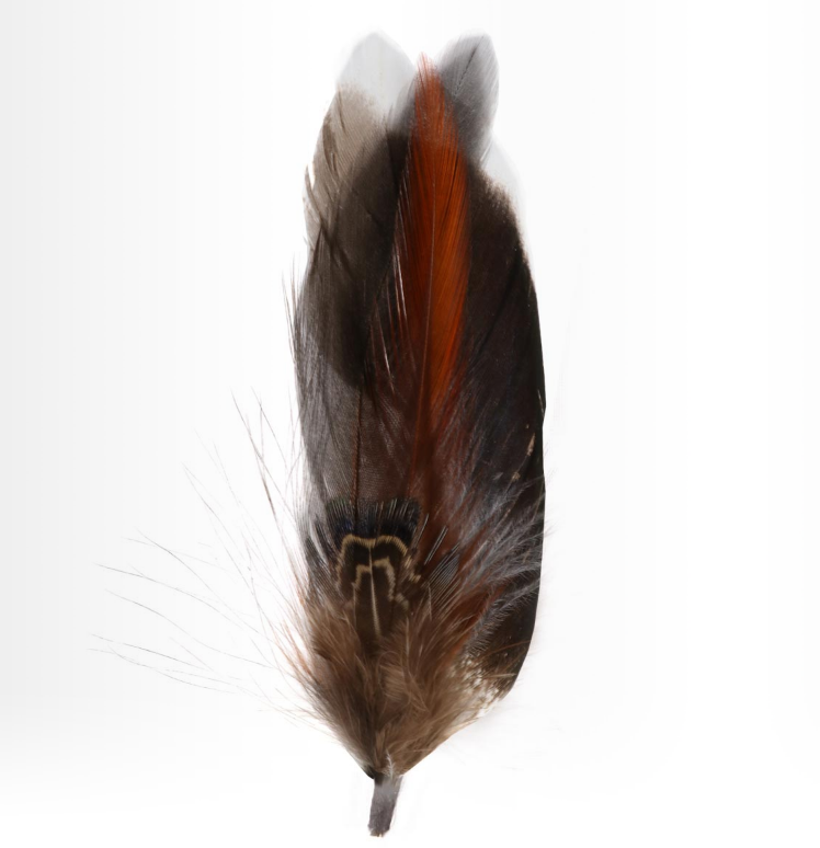 Hat Feather one N