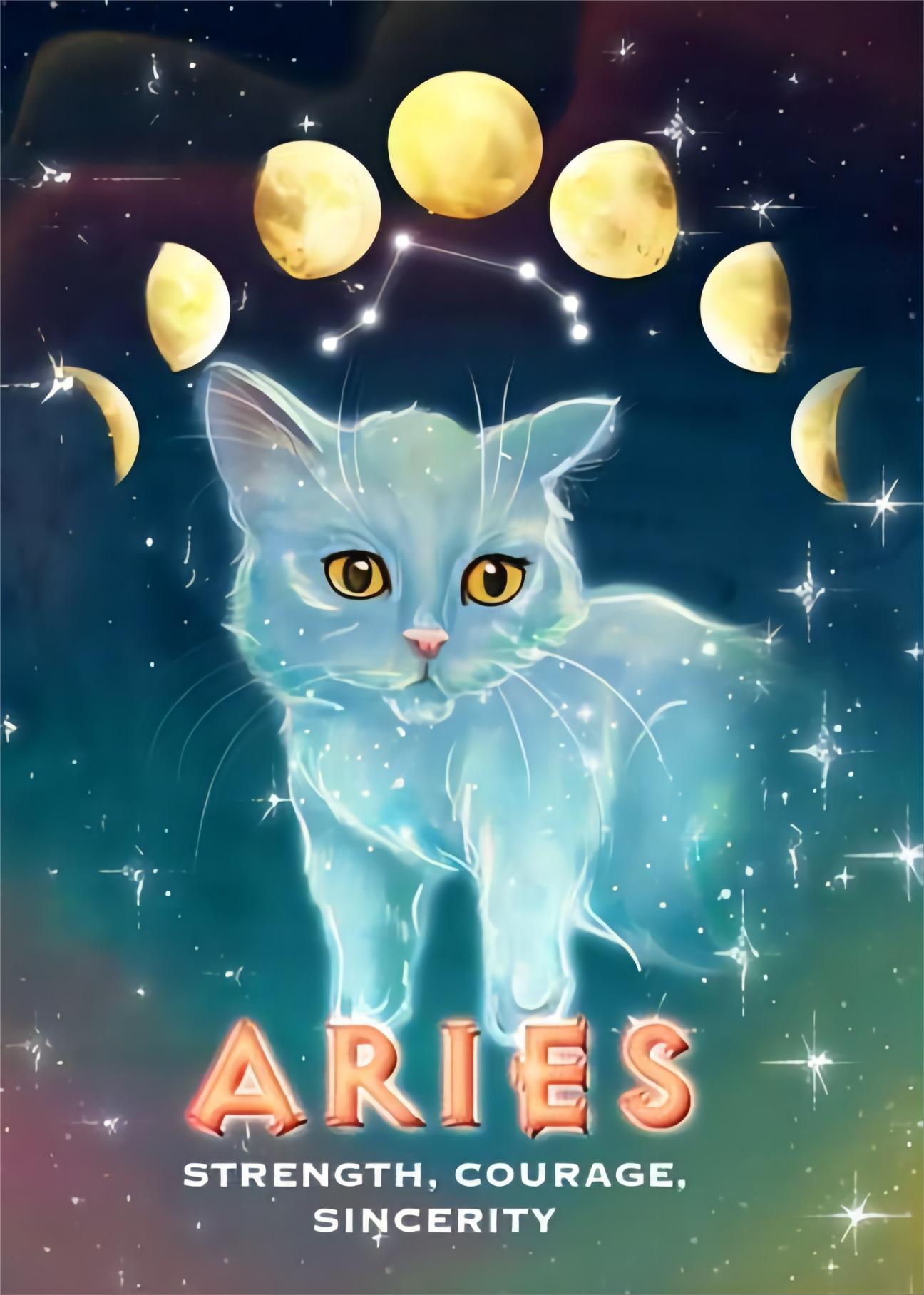 Cosmic Aries Zodiac Cat 40*50CM(Canvas) Full Round Drill Diamond Painting gbfke