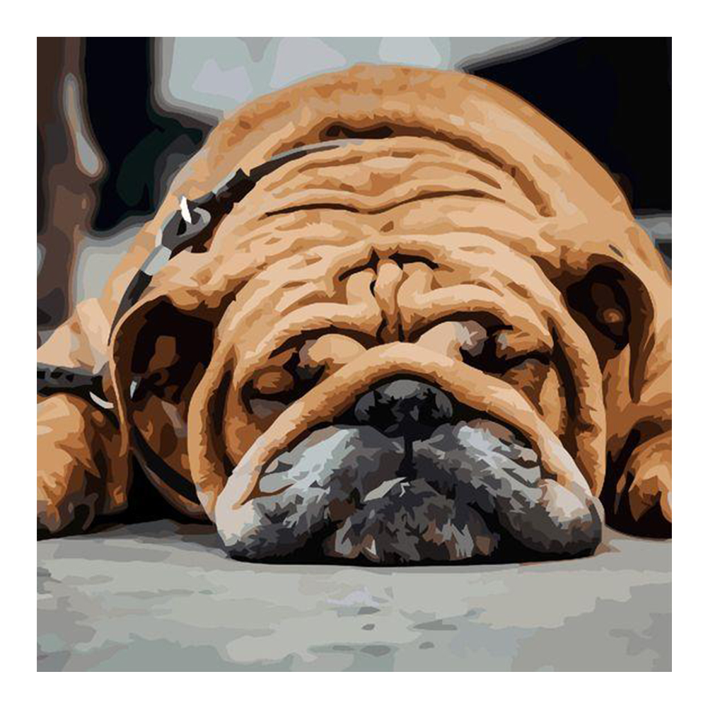 

40*40CM - Paint By Numbers - Sleeping Dog, 501 Original