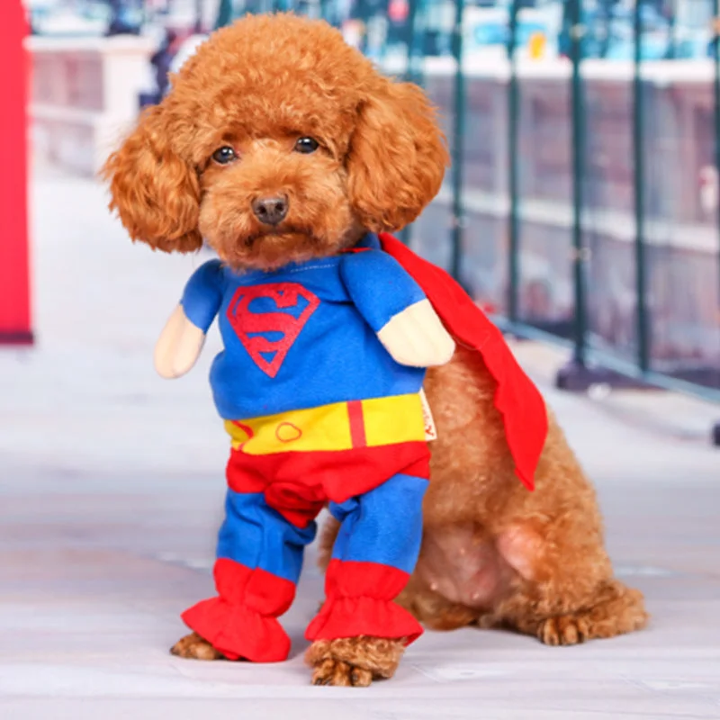 Cosplay Superman Cape For Dogs Puppy Superhero Costume-elleschic
