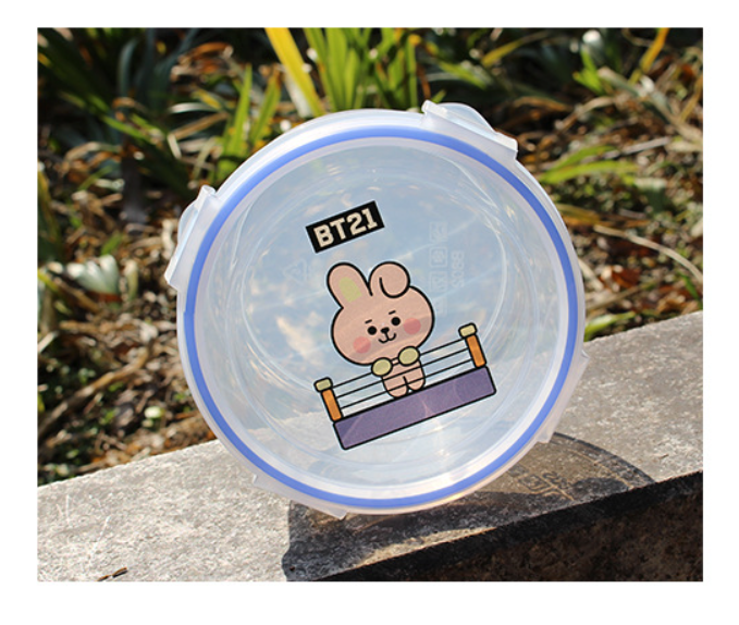 BT21 Baby Storage Box Container