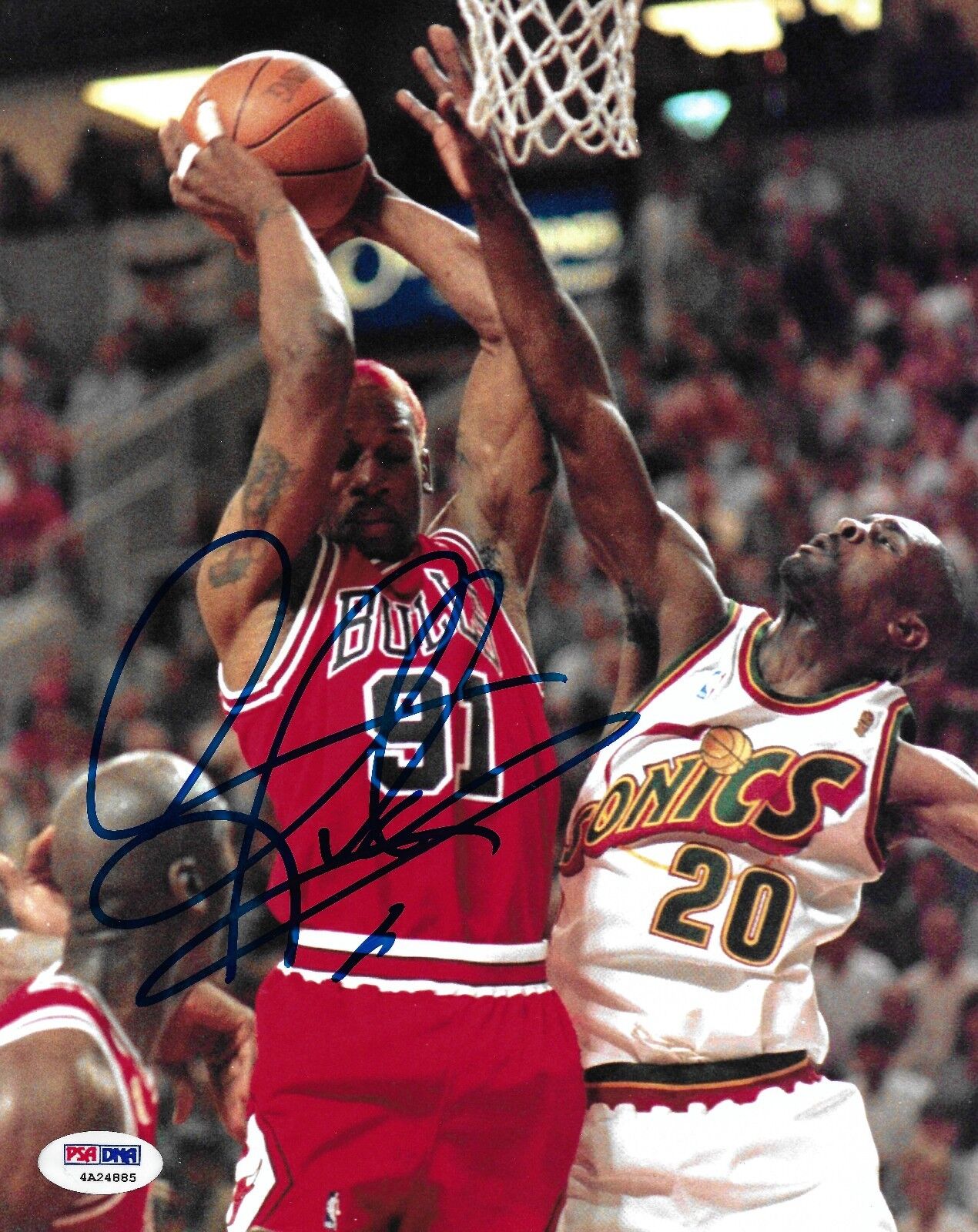 Dennis Rodman Signed Bulls Basketball 8x10 Photo Poster painting PSA/DNA COA Picture Autograph