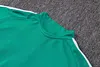 Joyfball 2026/2027 Algeria Half-Pull Training Suit Green Jersey