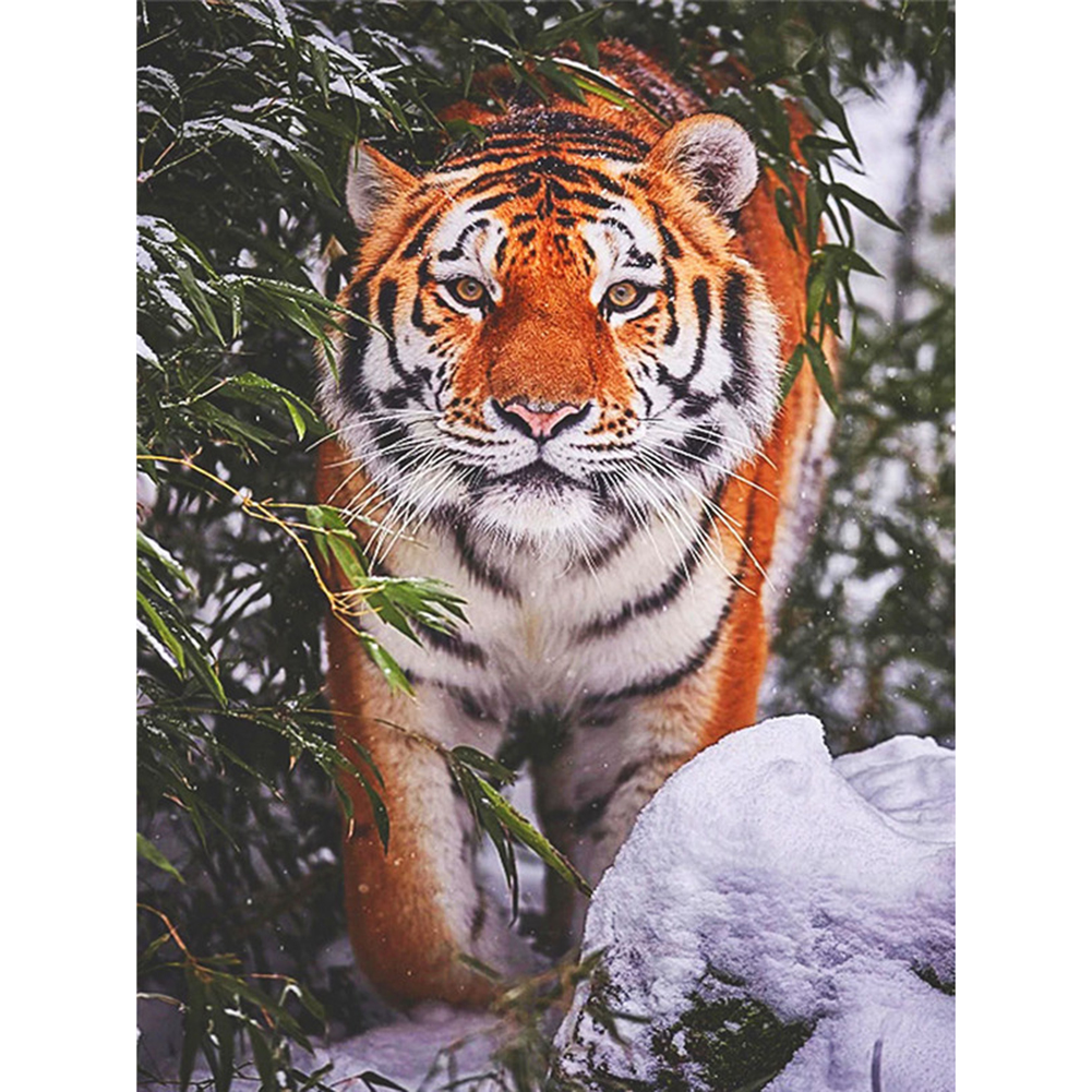 

30*40CM - Round Drill Diamond Painting - Tiger, 501 Original