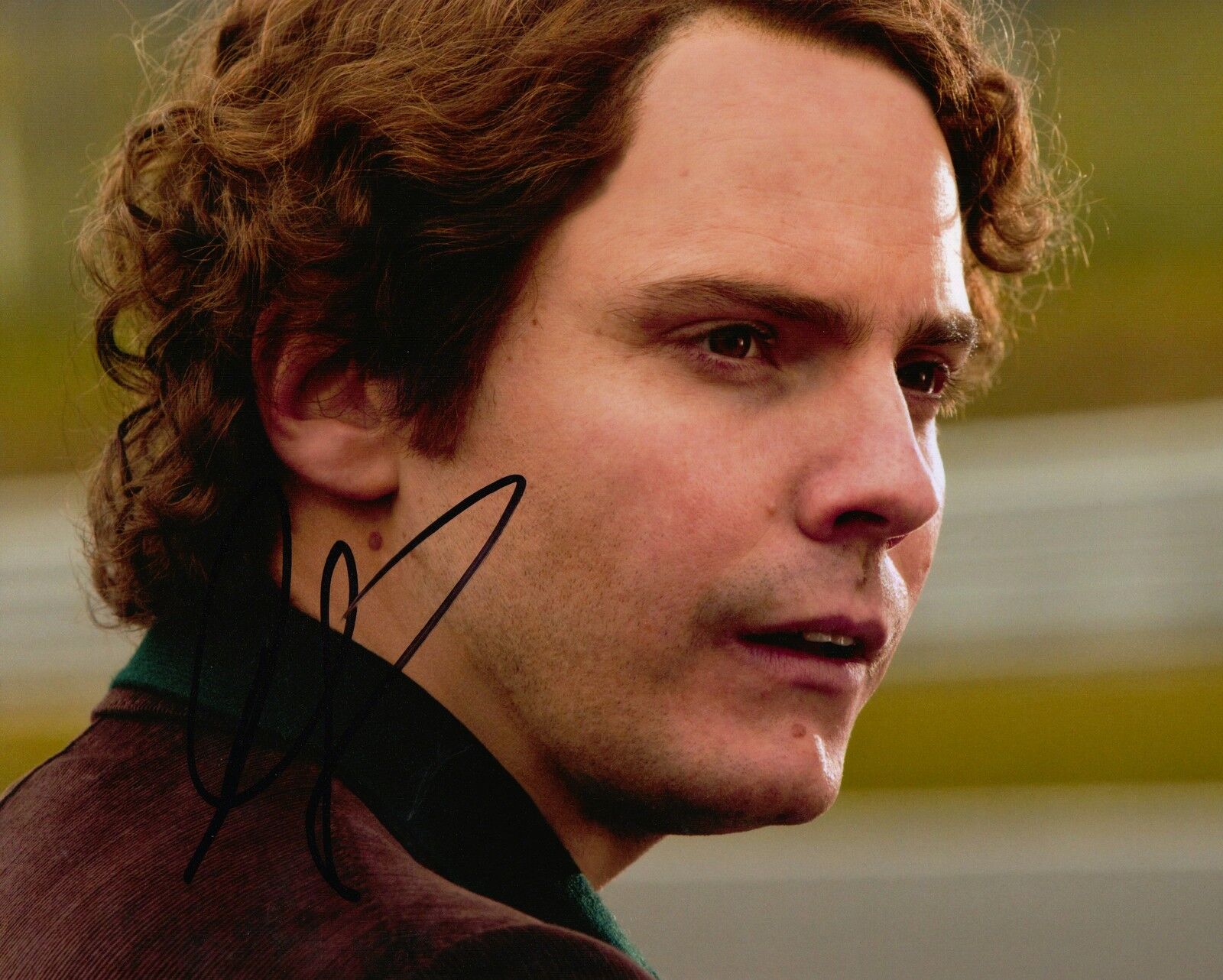 Daniel Bruhl Autograph RUSH Signed 8X10 Photo Poster painting (5115)