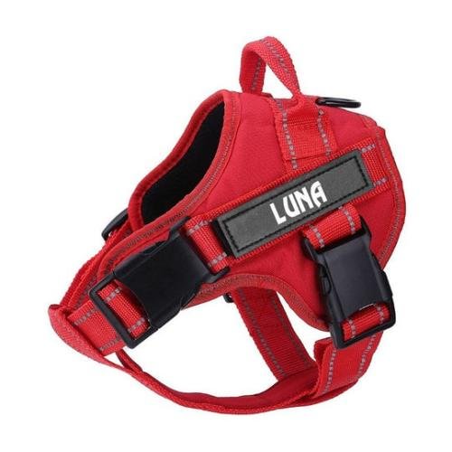 Personalized No Pull Dog Harness