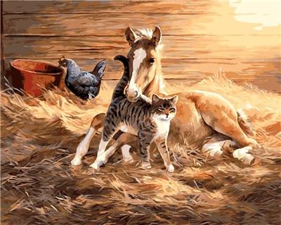 

Pony Horse – Paint By Numbers - 40*50CM, 501 Original