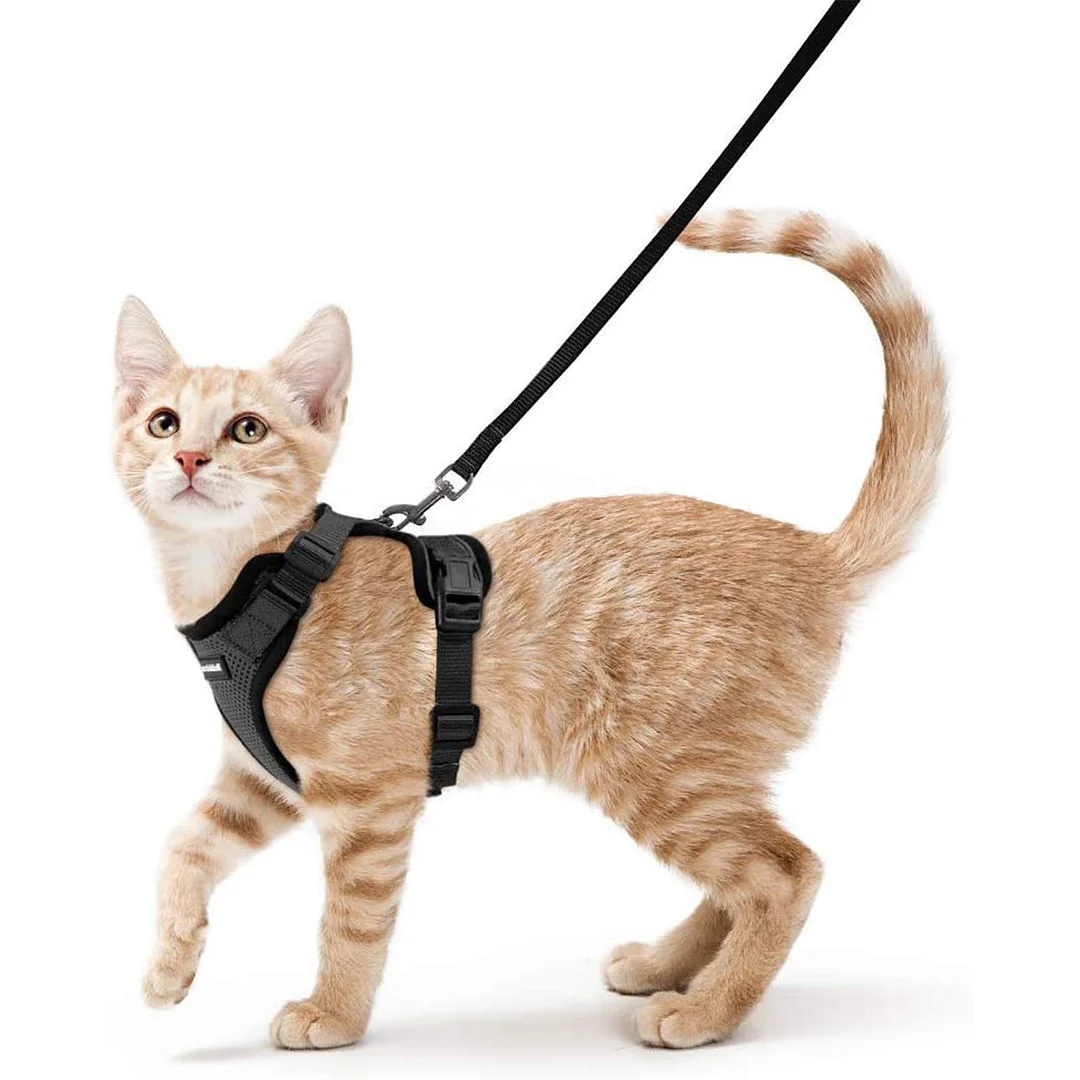 Cat Harness and Leash Set for Walking Cat and Small Dog Harness