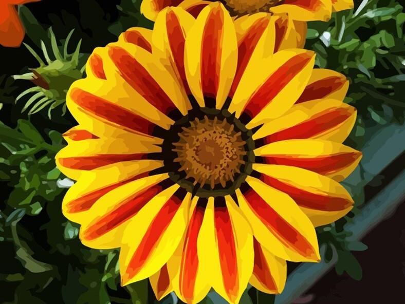 

Big Yellow Flower – Paint By Numbers - 40*50CM, 501 Original
