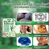 💎Ofici&aacute;ln&iacute; obchod ČR  BuildLeaf&reg; GLP-1 8-v-1 Fit & Vital Ře&scaron;en&iacute; (Jednou denně, viditeln&eacute; změny za 7 dn&iacute;) Obezita, kardiovaskul&aacute;rni zdrav&iacute;, cukrovka, sp&aacute;nkov&aacute; apnoe, zdrav&iacute; střev, probl&eacute;my se klouby a dal&scaron;&iacute;.