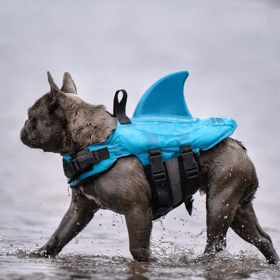 Lovepetplus™ Pet Shark Life Jacket (Buy 2 Free Shipping)  