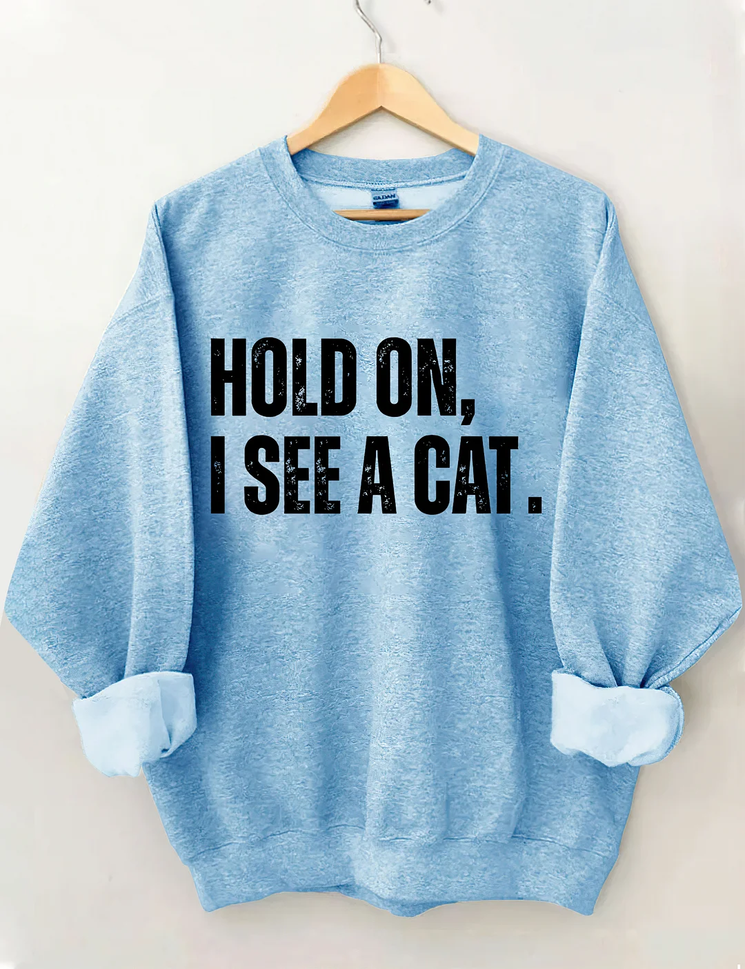 Hold On I See A Cat Sweatshirt