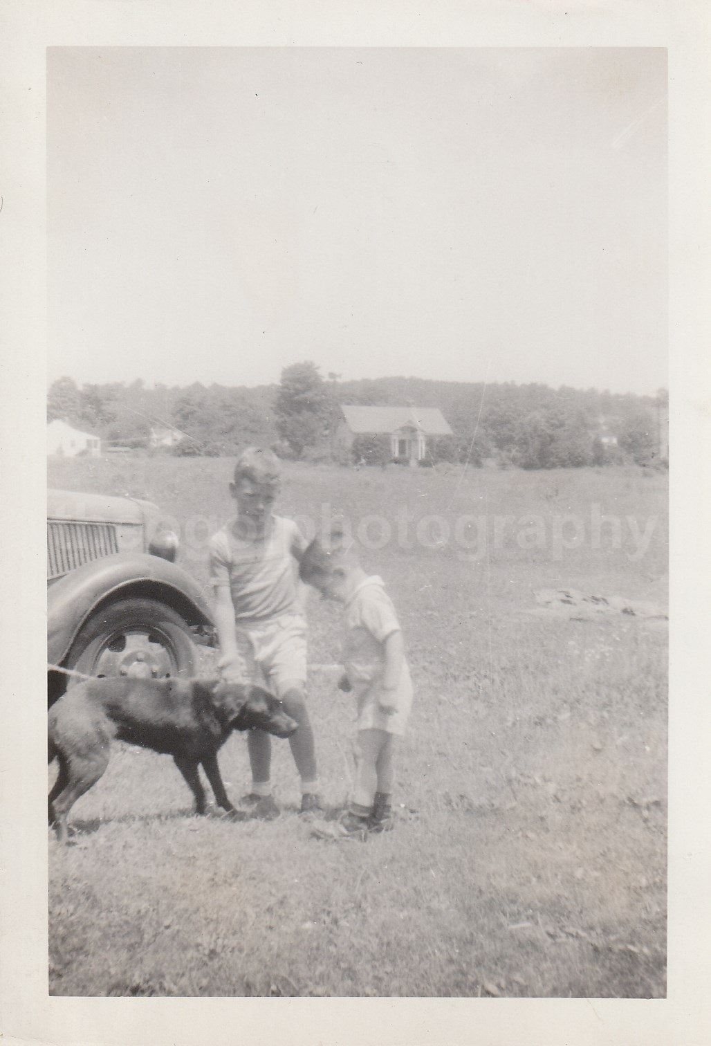 DOG BOYS Found Photo Poster paintinggraph bwOriginal Snapshot VINTAGE 82 3