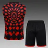2025/2026 Flamengo Pre-Match Training Red Black Vest+Shorts Football1:1 Thai Quality