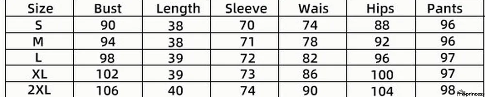 Fashion Spring Casual Print Long Sleeve Two-Piece Women's Skirt Set