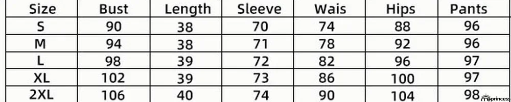 Fashion Spring Casual Print Long Sleeve Two-Piece Women's Skirt Set