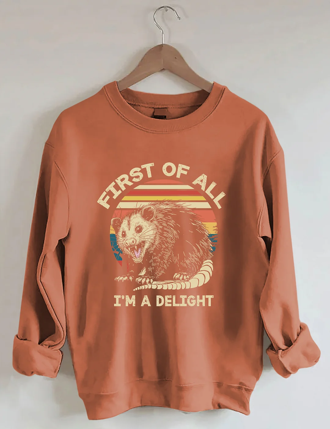 First Of All I'm A Delight Sarcastic Angry Opossum Lover Sweatshirt
