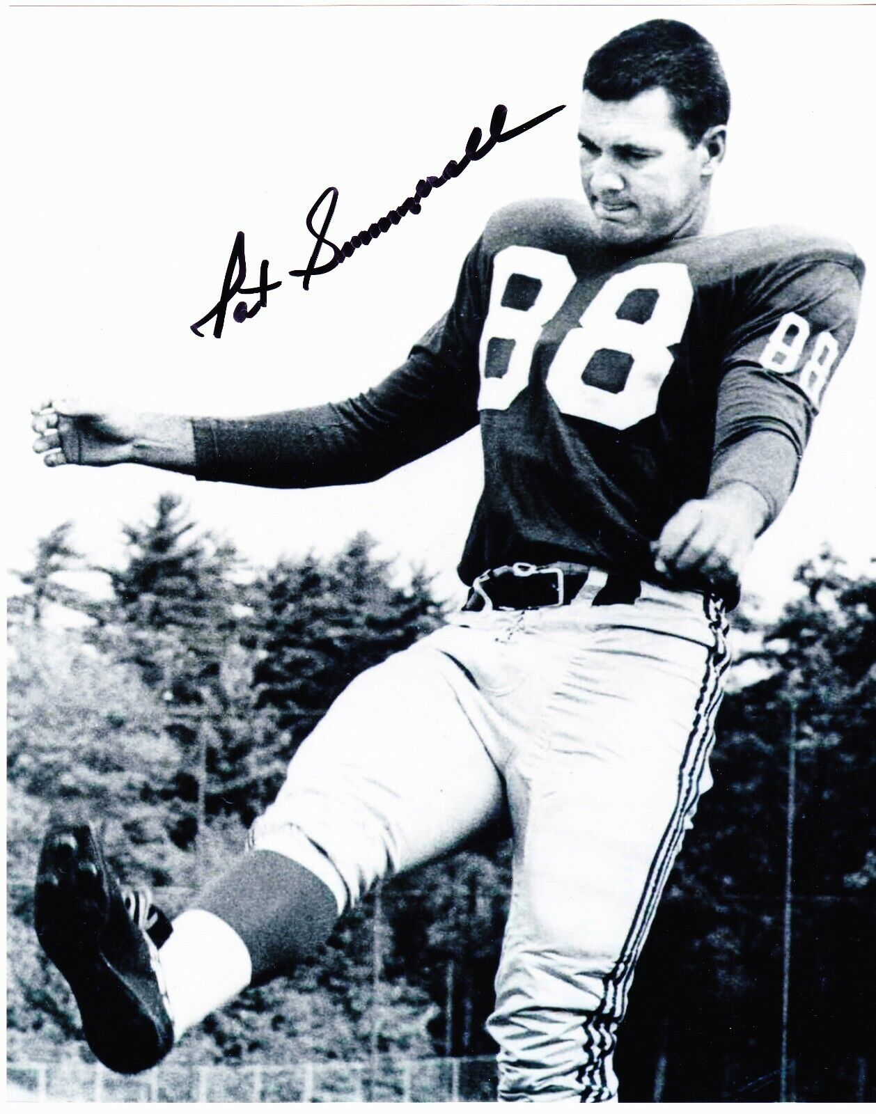 Pat Summerall signed 8x10 New York Giants B&W Photo Poster painting #1 (Dec), Cardinals, Lions