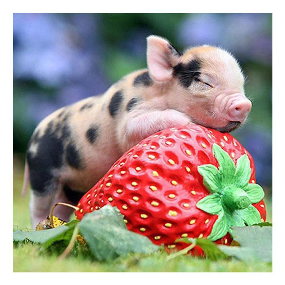 

30*30CM Square Drill Diamond Painting-Cute Pig, 501 Original