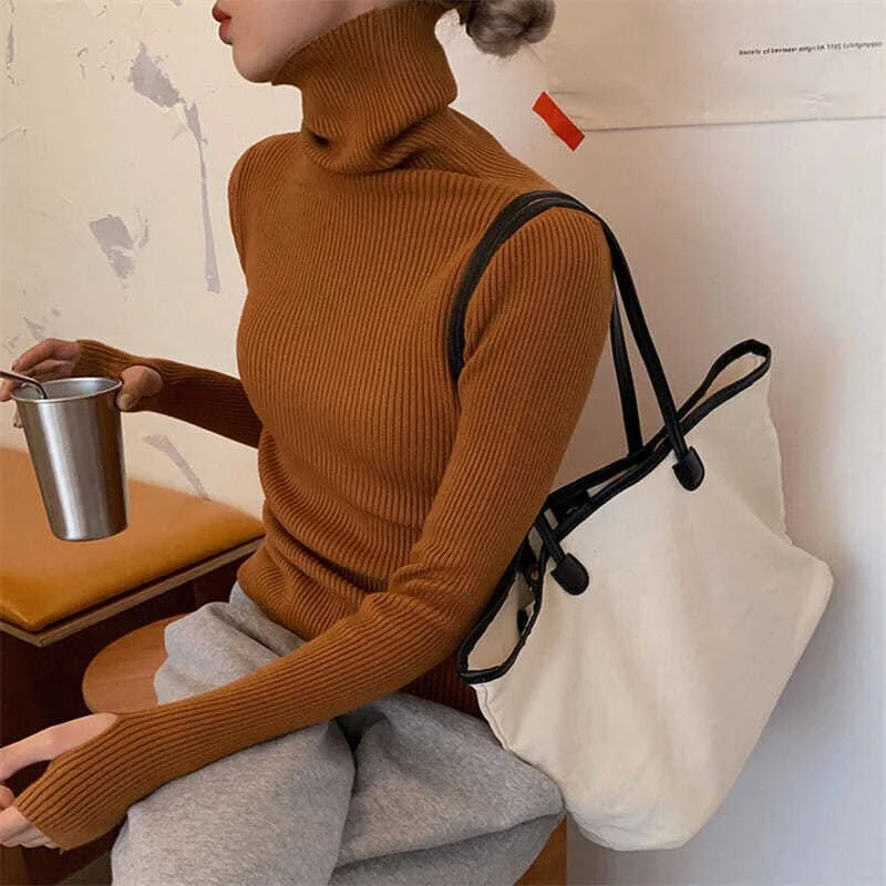 Toloer Winter Pullover Women Turtleneck Sweaters Casual Soft Heaps Collar Knit Sweater Women 2022 Basic Tops Warm Jumper 23797