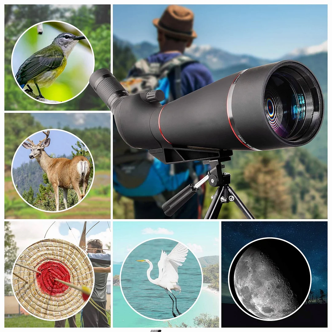 BEBANG Spotting Scope, 25-75x100 Spotting Scope with Tripod and Phone Adapter, Waterproof Spotting Scope for Bird Watching, Target Shooting, Hunting