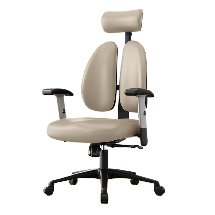 H-08A Twin Back Ergonomic Chair 